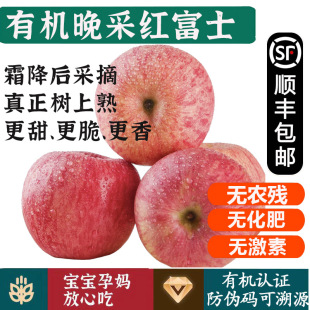 有机红富士苹果 晚采霜降孕妇宝宝健康无农残有机水果 顺丰到家