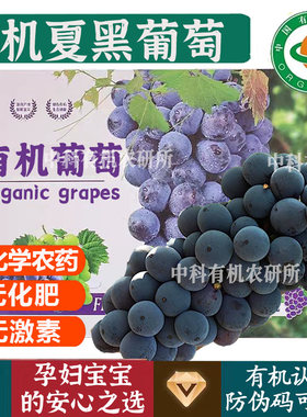 有机认证无农残激素葡萄