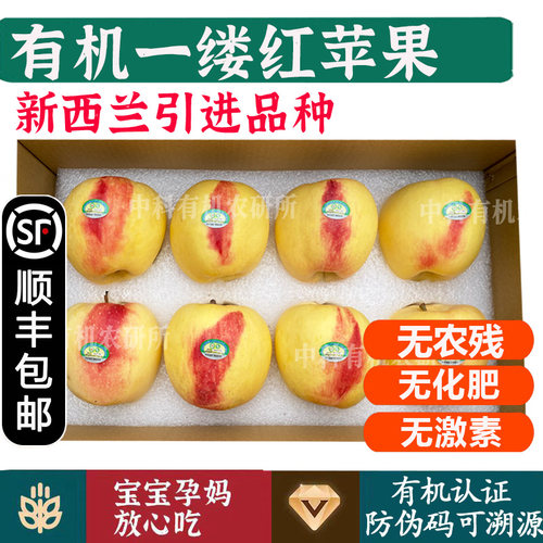 有机认证无农残无激素孕童可食