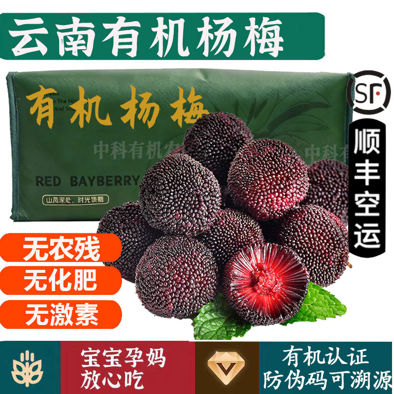 有机杨梅【顺丰】云南高原石屏东魁荸荠杨梅孕妇宝宝健康水果