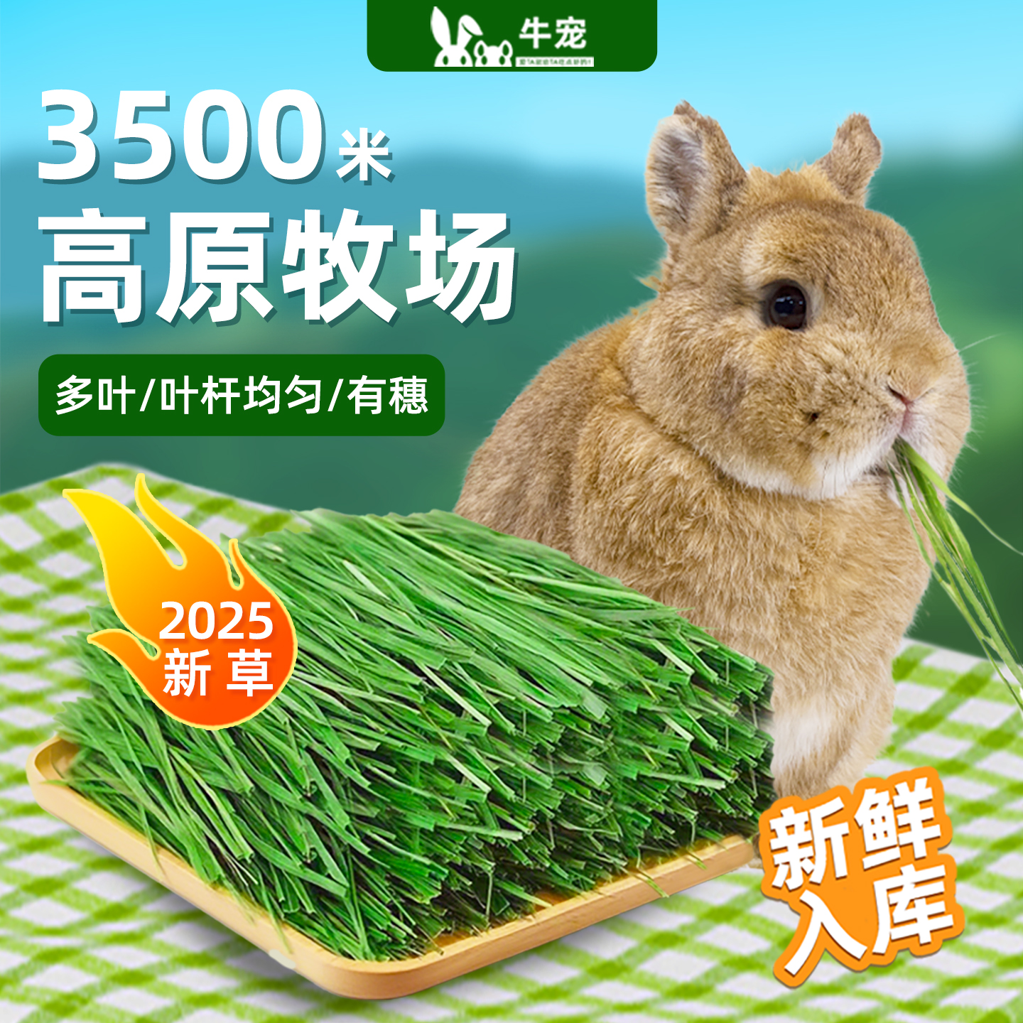提摩西草烘干25年高口碑牛宠兔草