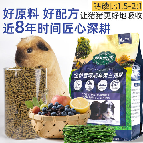 牛宠蓝莓提摩西草荷兰猪粮食主粮