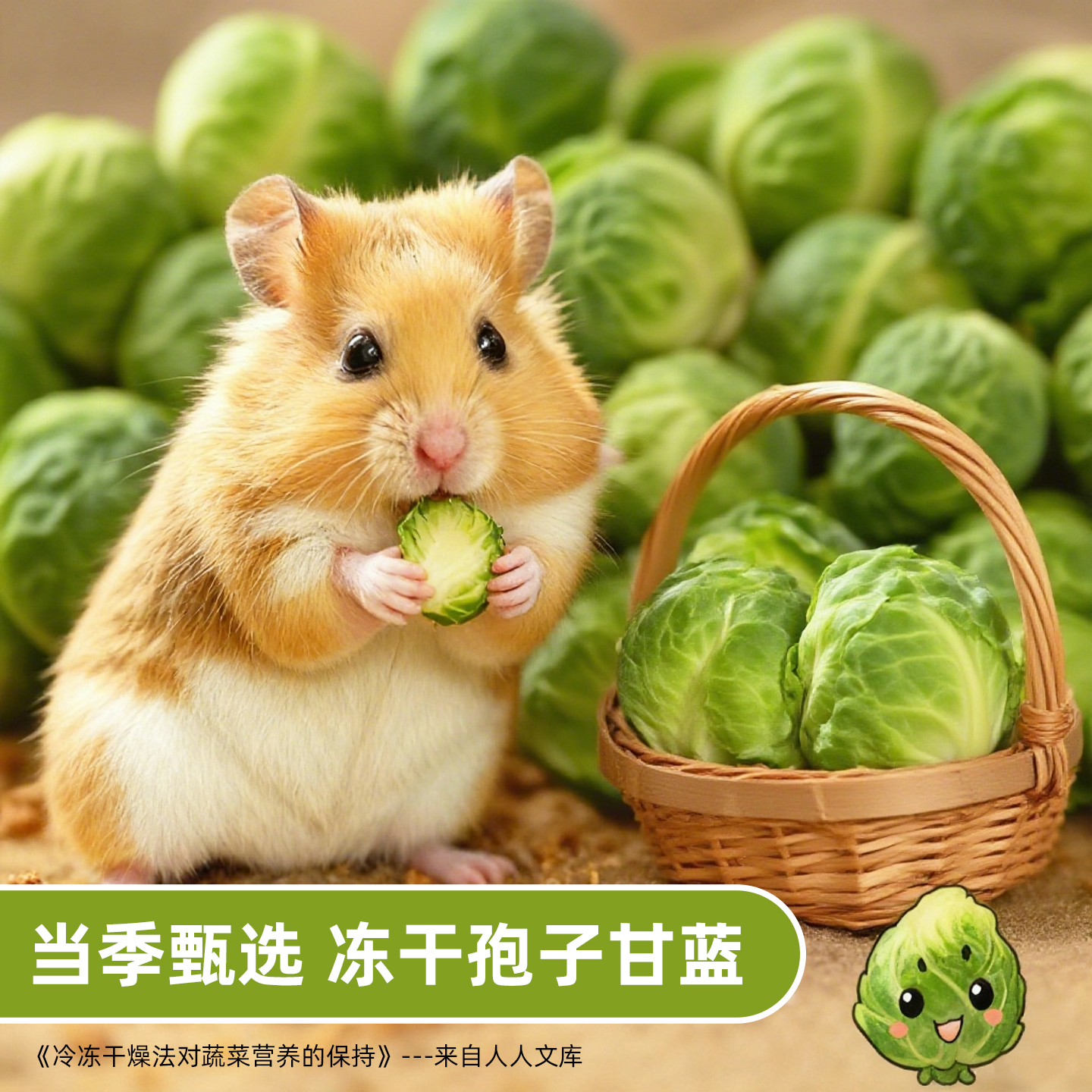 仓鼠辅食蔬菜零食冻干水果甘蓝