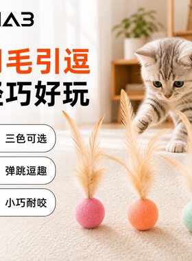【新款玩具】耐咬磨牙逗猫球