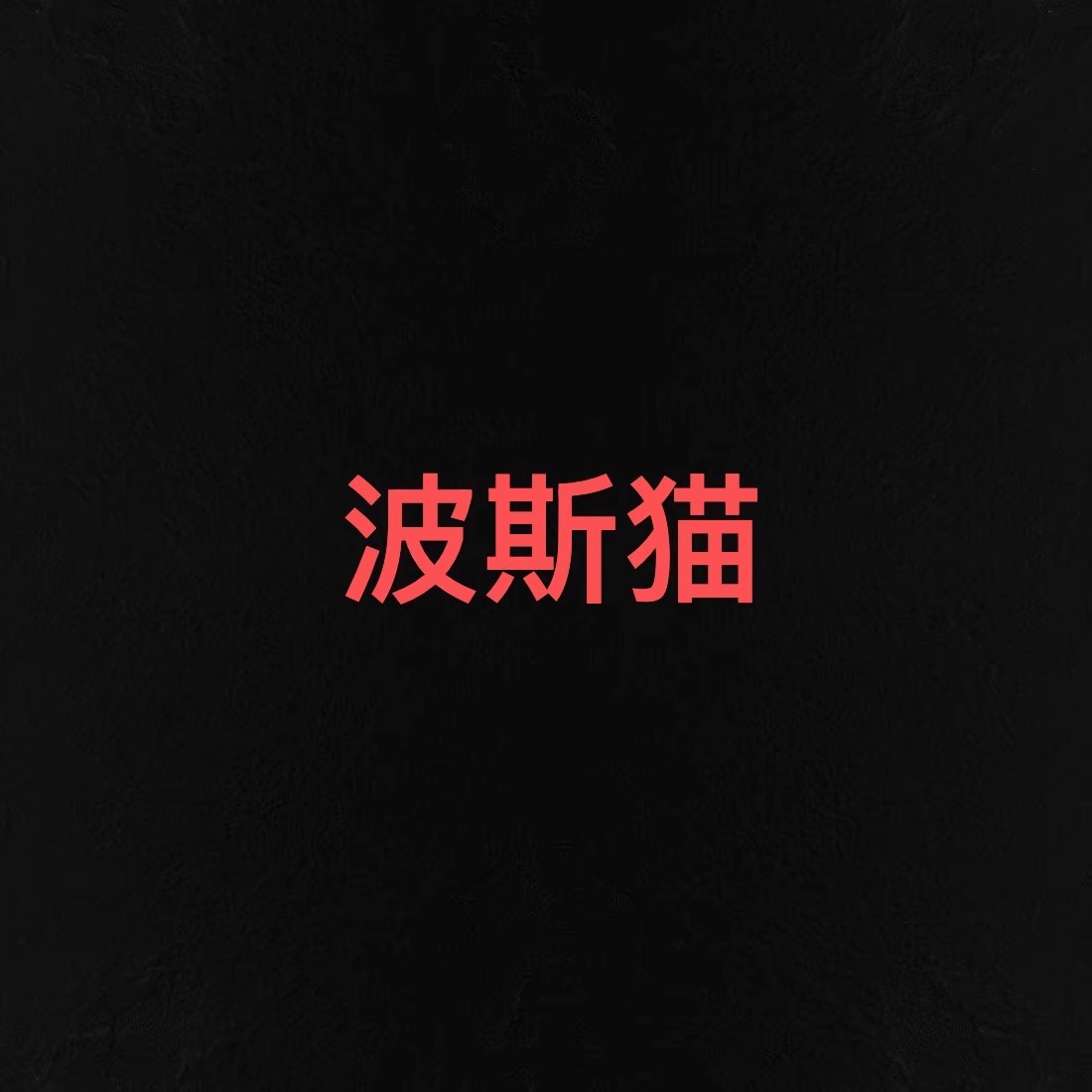 【波斯猫】王福贵定制～V领手工狐狸毛穿毛短款皮草10.22