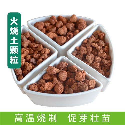 高温烧制火烧土兰花石铺面石红土颗粒营养土陶粒珍珠岩兰园火山石