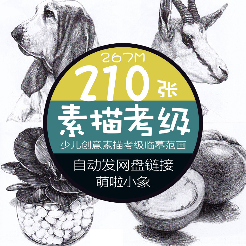 少儿创意动物植物素描儿童考级临摹范画高清可打印电子卡图片素材