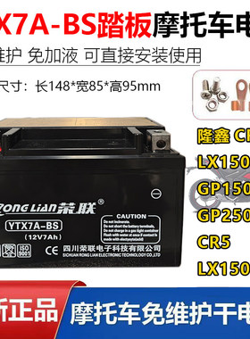 适用隆鑫摩托车电瓶12V7A免维护
