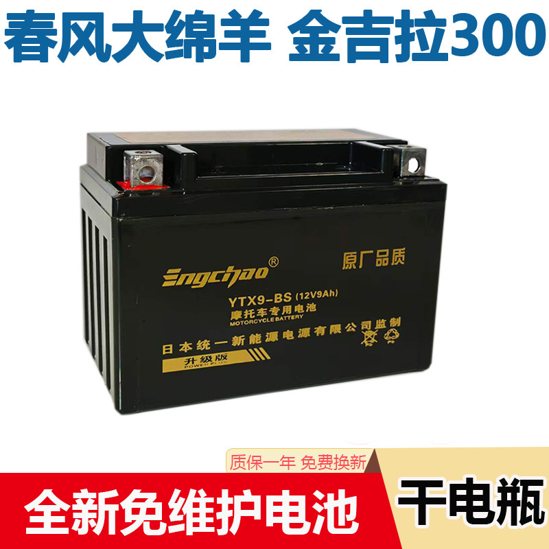 摩托车干电瓶适用豪爵铃木DR250 DR300 TR300天浪AN250 AN400