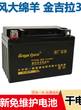 适用钱江贝纳利追300赛300追600赛752骁闪500摩托车电瓶12v9A