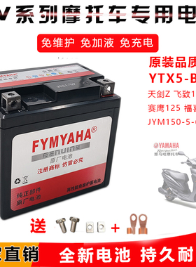 适用雅马哈飞致150摩托车电池巧格i赛鹰125福喜AS125 JYM150电瓶