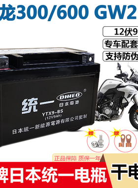 黄龙300/600GW250摩托车电池12v9-BS贝纳利752S/302S/502统一电瓶