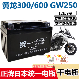黄龙300/600GW250摩托车电池12v9-BS贝纳利752S/302S/502统一电瓶