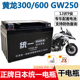 黄龙300 502统一电瓶 302S 600GW250摩托车电池12v9 BS贝纳利752S