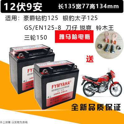 雅马哈大阳隆鑫12V9A免加摩托车