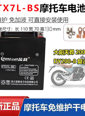 大阳天昴200 DY200-8复古街车摩托车原厂配套电瓶12V7A蓄电池