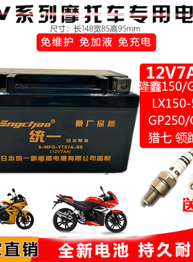 摩托车电瓶隆鑫LX150-56 GP150 GP250 GR3猎七 劲隆 领跑K8蓄电池