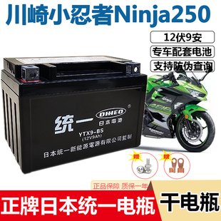 摩托车干电瓶川崎小忍者Ninja250 600ZX 400 Z400CC蓄电池 300