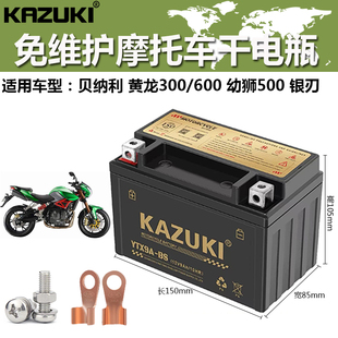 摩托车干电瓶贝纳利黄龙300 黄龙600 幼狮500 银刃250 飓风蓄电池