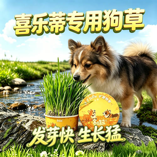 喜乐蒂专用狗草狗狗吃的草小狗零食宠物盆栽大型犬排毛食用草种子