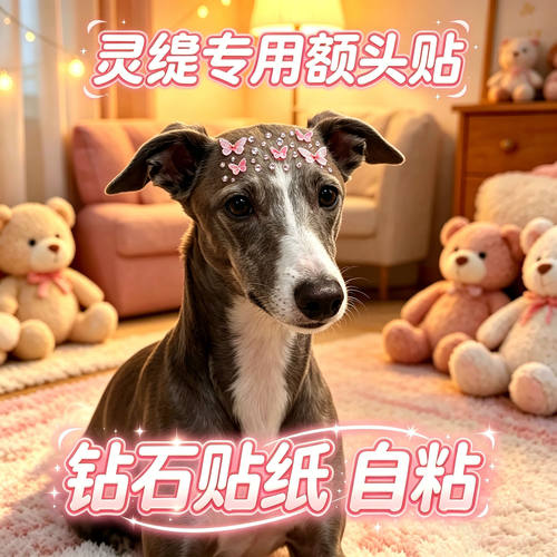 灵缇专用狗狗额头贴大型犬配饰狗宠物贴纸狗狗头饰头上蝴蝶装饰品