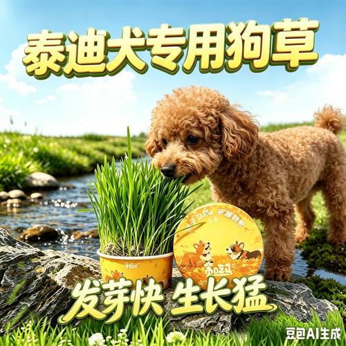 泰迪专用狗草狗狗吃的草小狗零食
