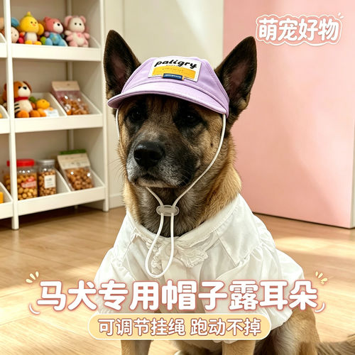 马犬专用幼犬狗狗帽子小狗宠物狗露耳朵遮阳帽大型犬棒球帽太阳帽