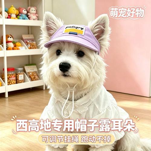 西高地专用狗狗帽子小狗宠物狗露耳朵遮阳帽小型犬配饰夏天太阳帽