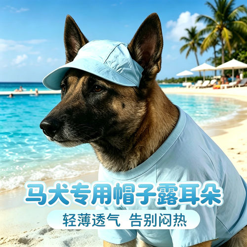 马犬专用狗狗帽子小狗宠物狗露耳朵遮阳帽中型犬太阳帽防晒棒球帽