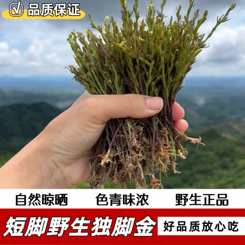 广东矮脚野生独脚金疳积草中药材