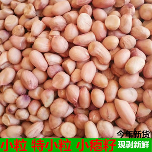 小粒花生米生2025年新特小粒花生米小瘪子小颗粒生吃养胃商用鸽粮