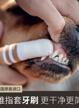 【指套牙刷1个】德国Lila Loves It微纤宠物猫狗洁牙口腔清洁口臭