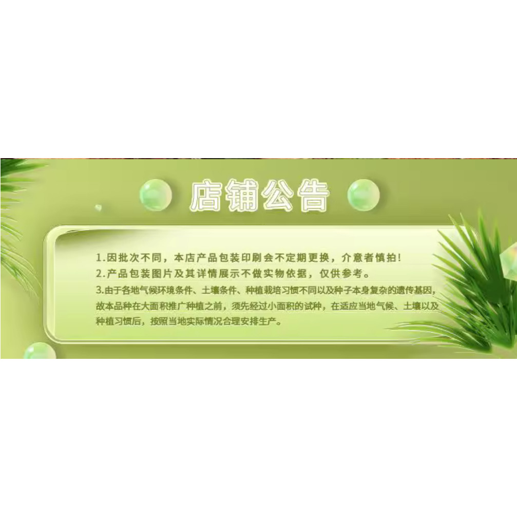 早春奇迹架豆种子白豆角籽豆架豆种高产春秋播种四季蔬菜基地用种