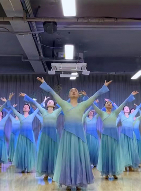 海与天古典舞蹈裙女仙气飘逸演出服中国舞半身裙1080度大摆裙 