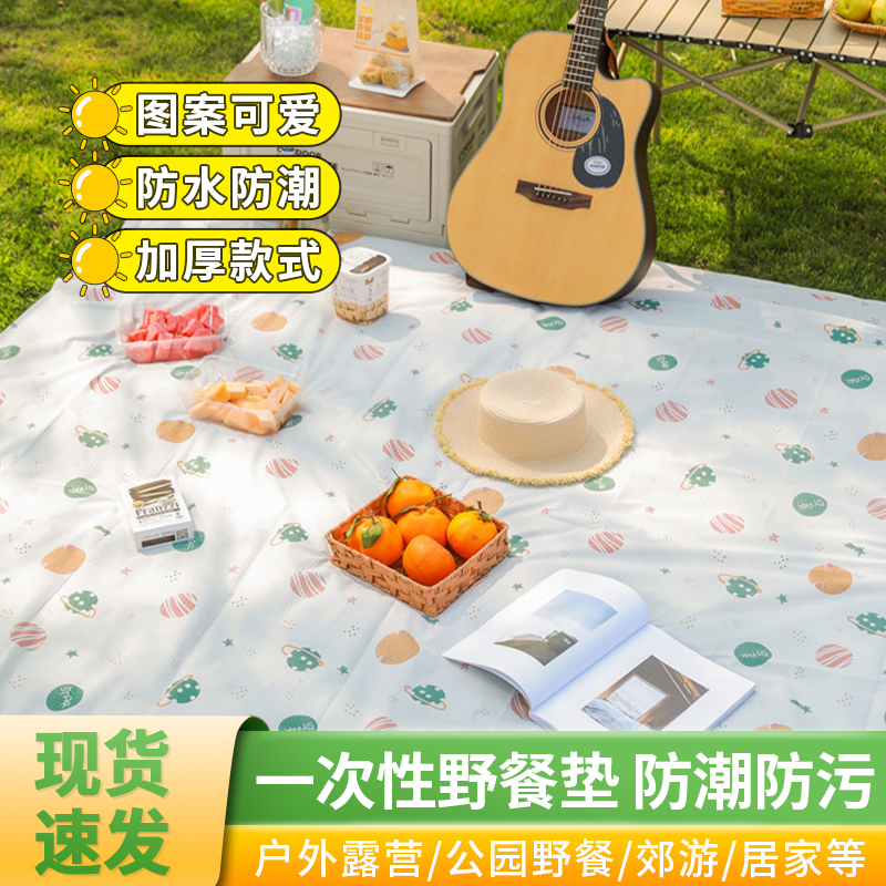 户外一次性野餐垫防潮露营加厚春游垫子便携地垫郊游沙滩垫野餐布