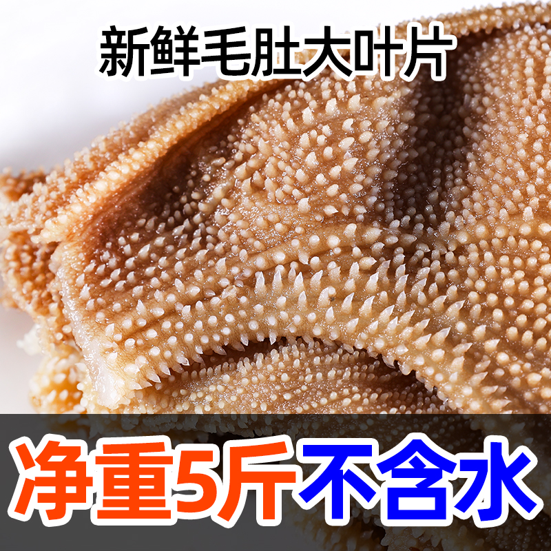 新鲜毛肚大叶片半成品商用