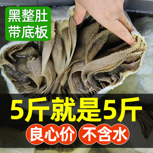 不含水净重5斤整个毛肚新鲜商用