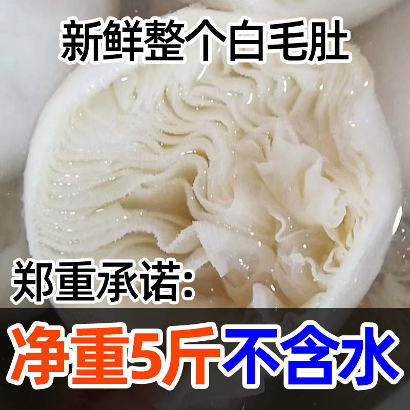 四川重庆火锅白毛肚整个带底板新鲜整包精品整只原毛肚冷冻牛肚