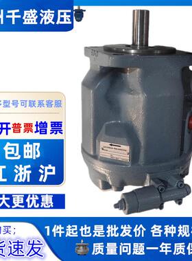 柱塞泵A10V63DR1LP18油泵 A10V28DR3RP1B液压泵A10V28DR3RP1D