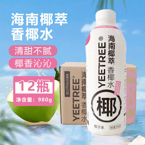 速冻香椰水海南椰萃生椰水生椰乳