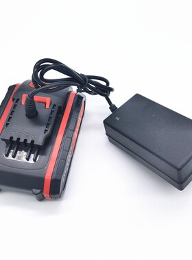 金鹿角手电钻36V 48VF充电钻锂电池电动螺丝刀锂电钻 充电器