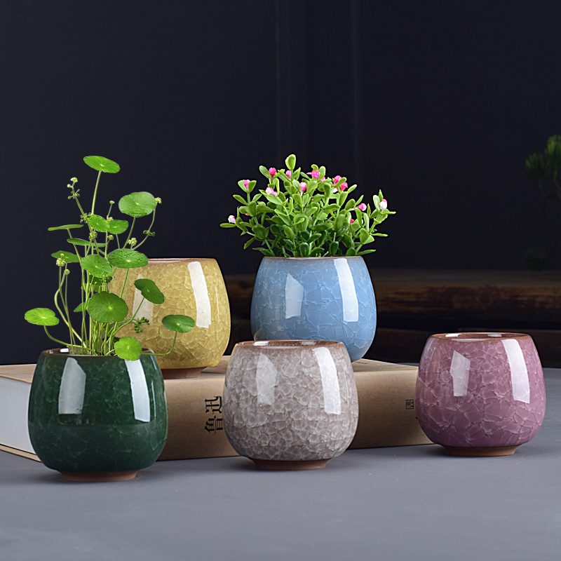 小清新简约个性铜钱草小花瓶