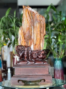 树化玉硅化木摆件冰种木化石509903客厅木化玉缅甸树化石客厅奇石