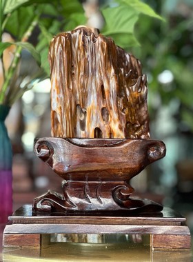 树化玉硅化木摆件冰种木化石128823客厅木化玉缅甸树化石客厅奇石