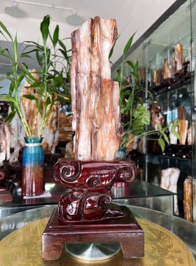 树化玉硅化木摆件冰种木化石400138客厅木化玉缅甸树化石客厅奇石