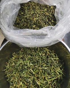 【抽湿绿衣仙子2斤】潮州凤凰单丛特级高山乌岽茶枝茶头清香型