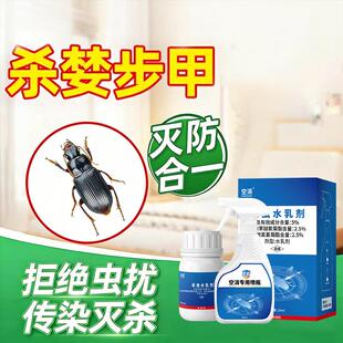 中华婪步甲杀虫剂家用强效灭杀小黑虫布甲虫硬甲虫室内安全除虫药