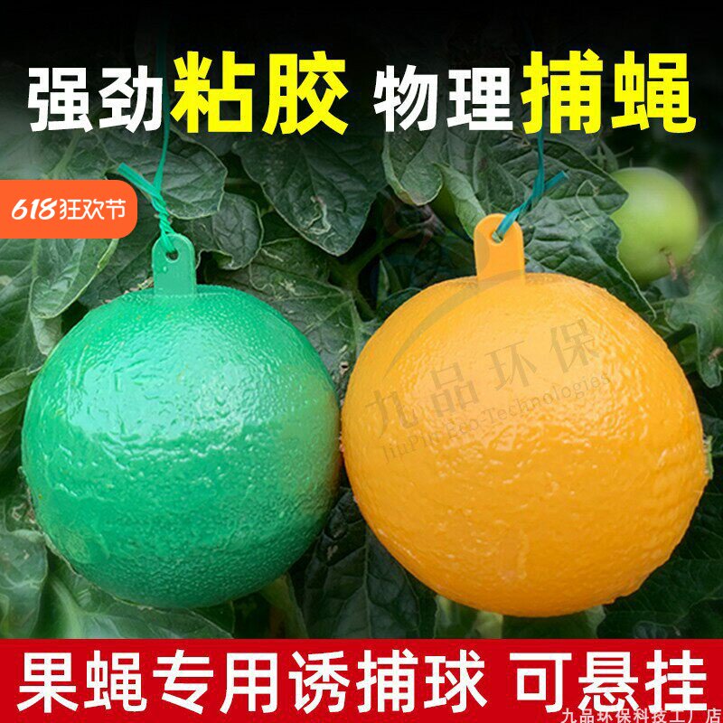柑橘大实蝇诱蝇球果园粘虫板贴果实蝇药诱粘剂灭果蝇引诱剂针锋贴