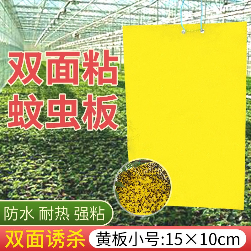 黄板双面大棚花草白粉虱粘蝇贴