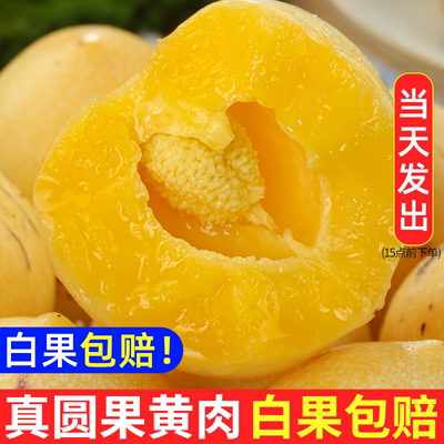 白果赔！云南人参果水果黄肉大果